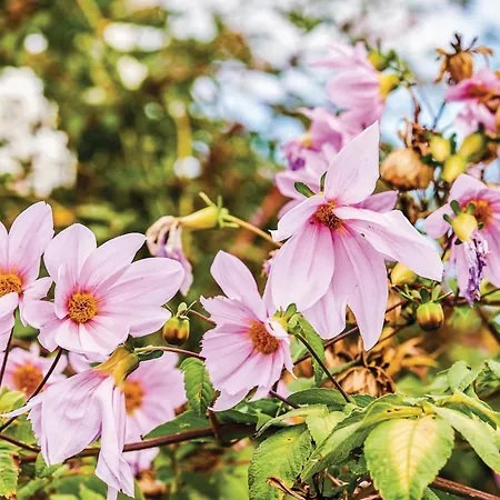 Hoya Charcos Ii بيت للعطل *