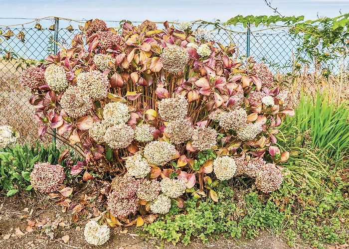 Hoya Charcos Ii Feriehus