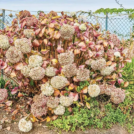 Hoya Charcos Ii Semesterbostad